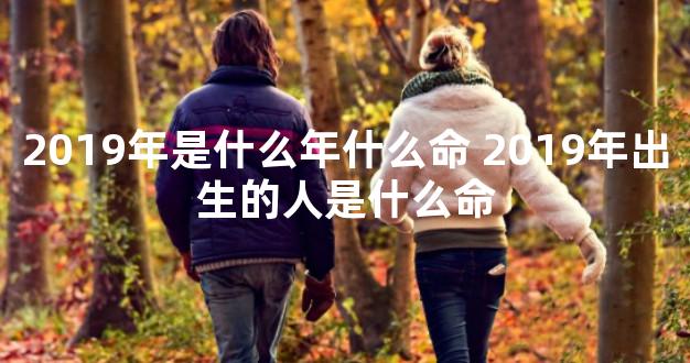 2019年是什么年什么命 2019年出生的人是什么命